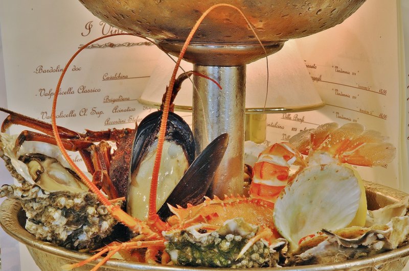 Gli Antipasti del Gargano