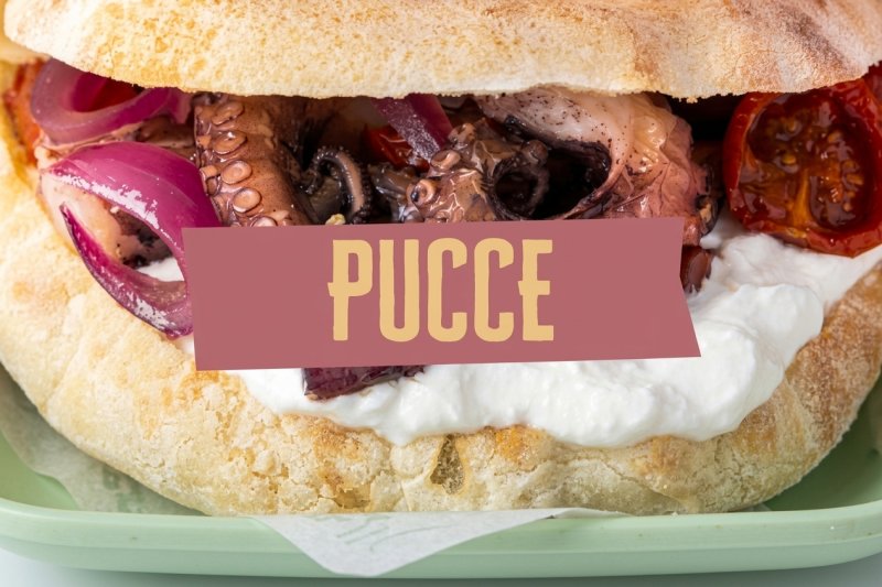 Pucce