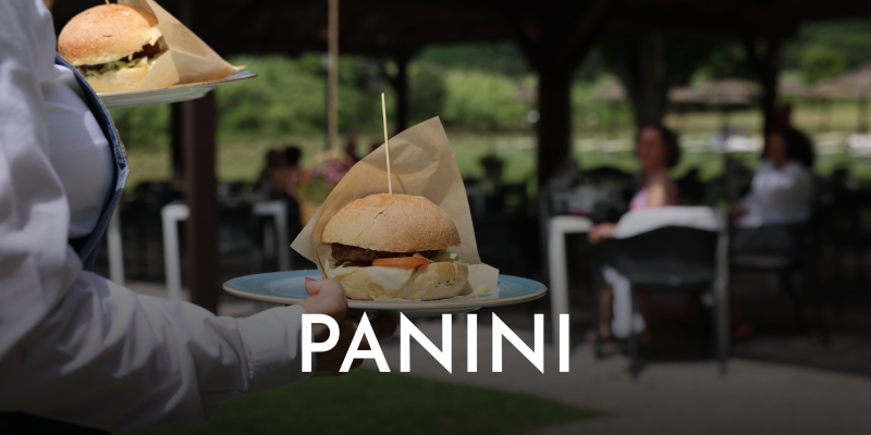 Panini