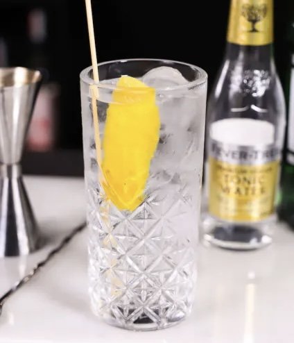 Gin Tonic