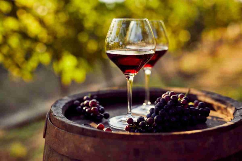 Vini Rossi & Rosé