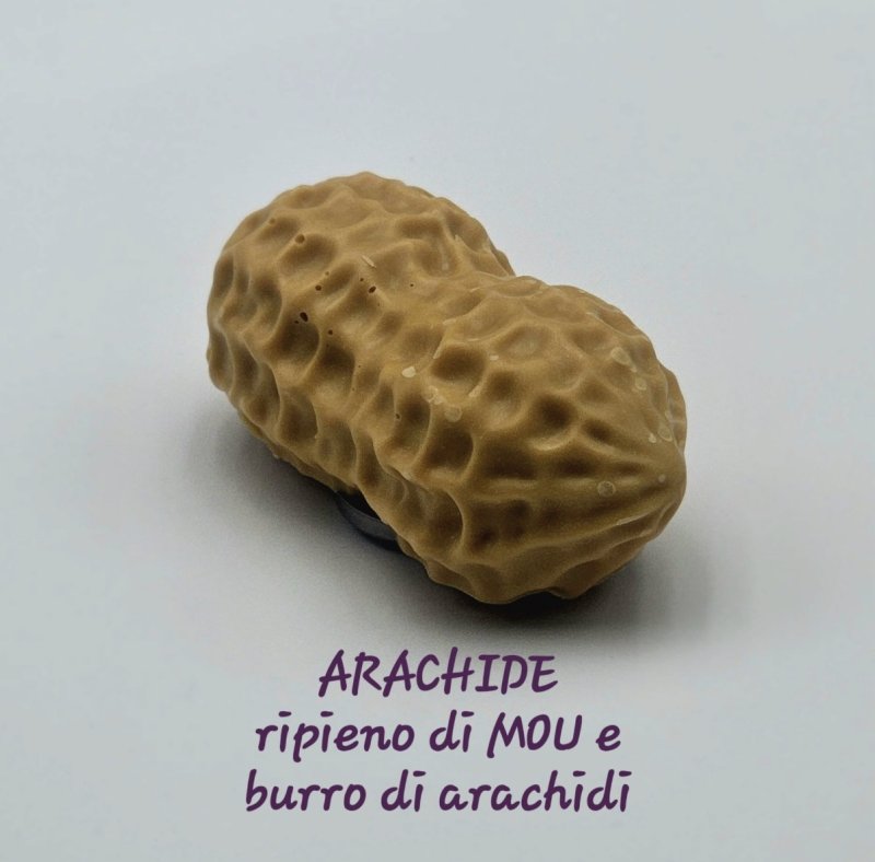 Immagine voce
